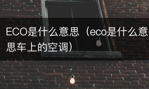 ECO是什么意思（eco是什么意思车上的空调）