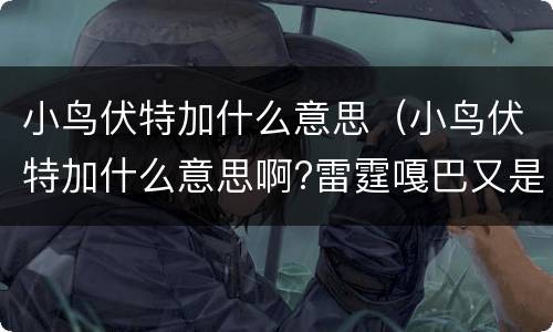 小鸟伏特加什么意思（小鸟伏特加什么意思啊?雷霆嘎巴又是什么鬼啊?）