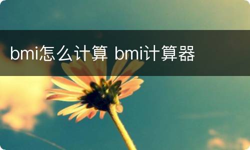 bmi怎么计算 bmi计算器