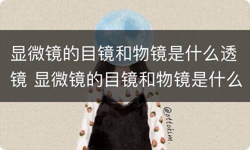 显微镜的目镜和物镜是什么透镜 显微镜的目镜和物镜是什么透镜成什么像