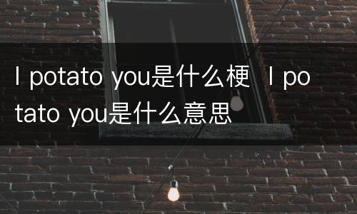 I potato you是什么梗  I potato you是什么意思