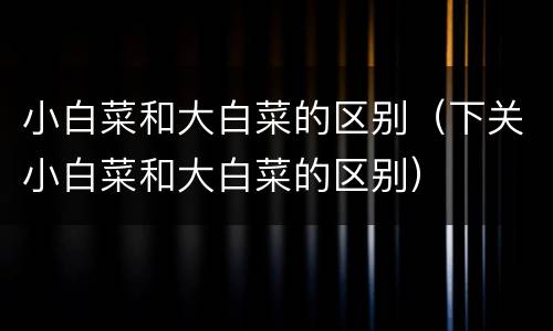 小白菜和大白菜的区别（下关小白菜和大白菜的区别）