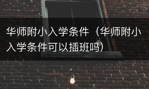 华师附小入学条件（华师附小入学条件可以插班吗）