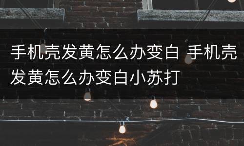 手机壳发黄怎么办变白 手机壳发黄怎么办变白小苏打