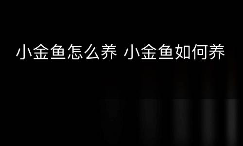  小金鱼怎么养 小金鱼如何养