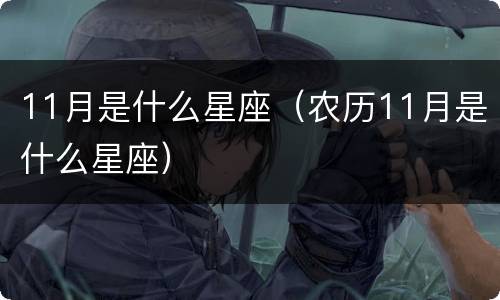 11月是什么星座（农历11月是什么星座）
