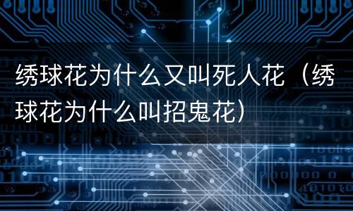 绣球花为什么又叫死人花（绣球花为什么叫招鬼花）