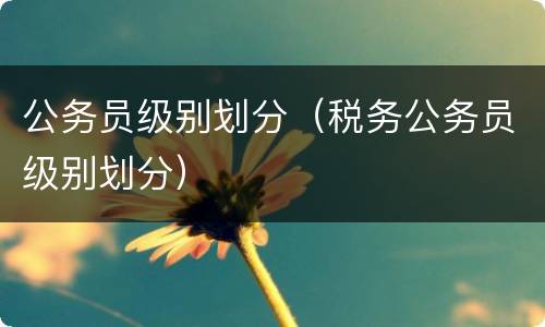 公务员级别划分（税务公务员级别划分）