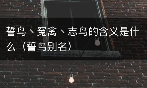 誓鸟丶冤禽丶志鸟的含义是什么（誓鸟别名）
