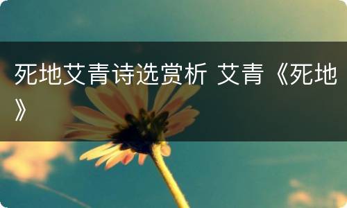 死地艾青诗选赏析 艾青《死地》