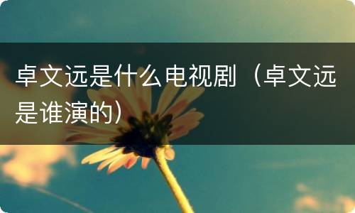 卓文远是什么电视剧（卓文远是谁演的）