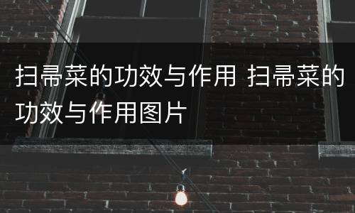 扫帚菜的功效与作用 扫帚菜的功效与作用图片