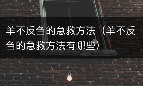 羊不反刍的急救方法（羊不反刍的急救方法有哪些）
