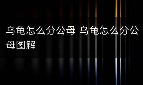 乌龟怎么分公母 乌龟怎么分公母图解