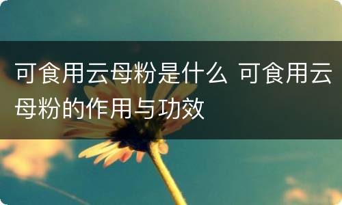 可食用云母粉是什么 可食用云母粉的作用与功效