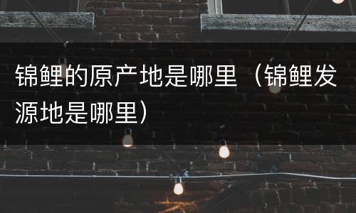 锦鲤的原产地是哪里（锦鲤发源地是哪里）