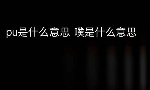 pu是什么意思 噗是什么意思