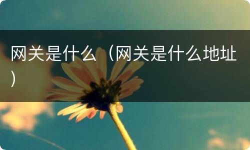 网关是什么（网关是什么地址）