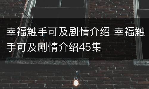幸福触手可及剧情介绍 幸福触手可及剧情介绍45集