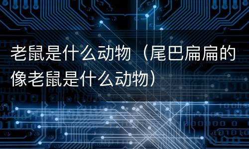 老鼠是什么动物（尾巴扁扁的像老鼠是什么动物）