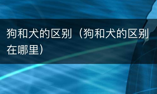 狗和犬的区别（狗和犬的区别在哪里）