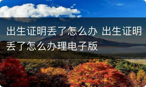 出生证明丢了怎么办 出生证明丢了怎么办理电子版