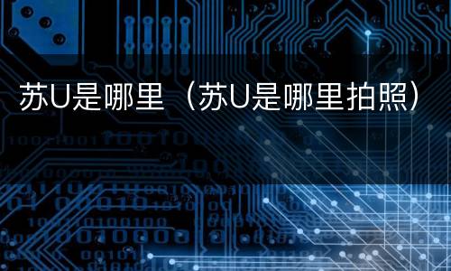 苏U是哪里（苏U是哪里拍照）