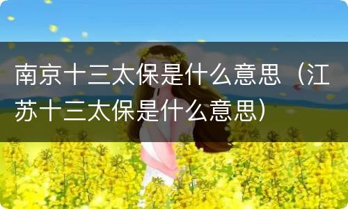南京十三太保是什么意思（江苏十三太保是什么意思）