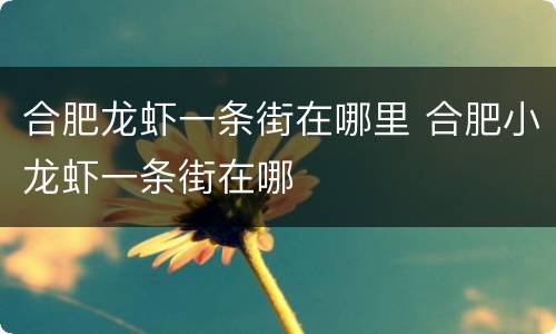 合肥龙虾一条街在哪里 合肥小龙虾一条街在哪