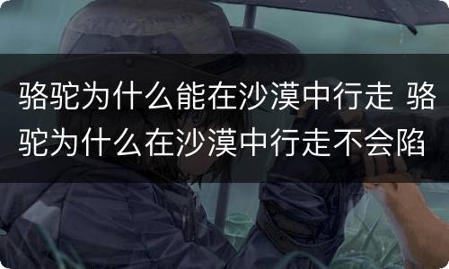 骆驼为什么能在沙漠中行走 骆驼为什么在沙漠中行走不会陷下去