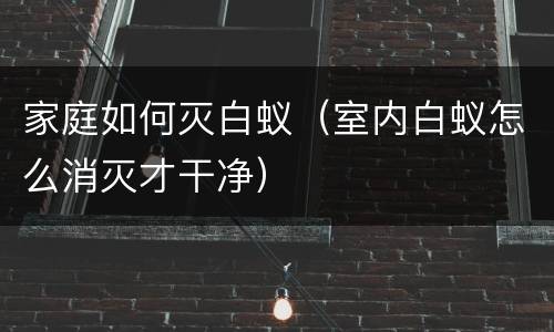家庭如何灭白蚁（室内白蚁怎么消灭才干净）