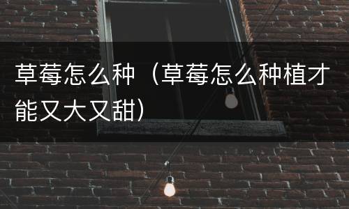 草莓怎么种（草莓怎么种植才能又大又甜）