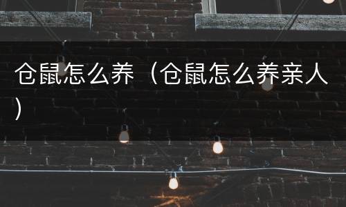 仓鼠怎么养（仓鼠怎么养亲人）