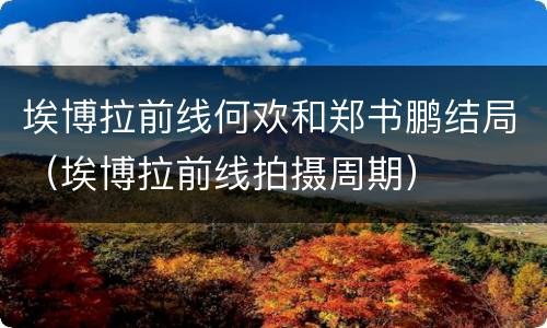 埃博拉前线何欢和郑书鹏结局（埃博拉前线拍摄周期）