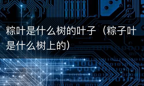 粽叶是什么树的叶子（粽子叶是什么树上的）