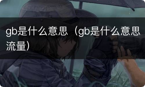 gb是什么意思（gb是什么意思流量）