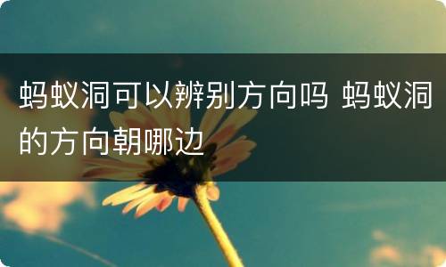 蚂蚁洞可以辨别方向吗 蚂蚁洞的方向朝哪边