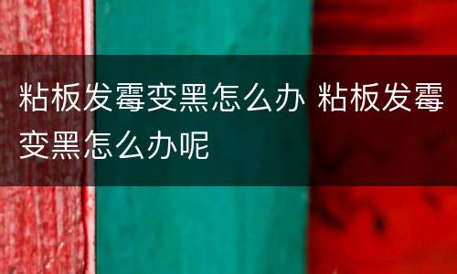 粘板发霉变黑怎么办 粘板发霉变黑怎么办呢