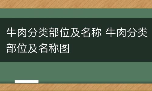 牛肉分类部位及名称 牛肉分类部位及名称图