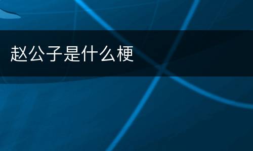 赵公子是什么梗