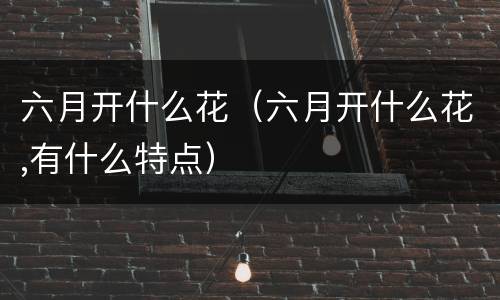 六月开什么花（六月开什么花,有什么特点）