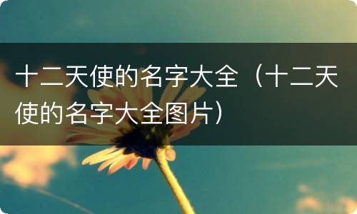 十二天使的名字大全（十二天使的名字大全图片）