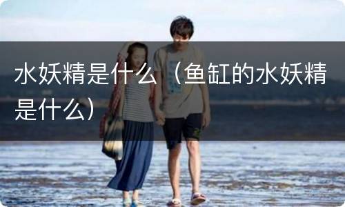 水妖精是什么（鱼缸的水妖精是什么）