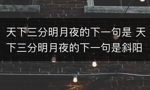 天下三分明月夜的下一句是 天下三分明月夜的下一句是斜阳却照深深院