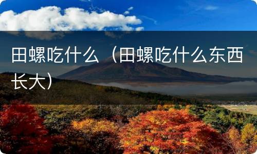 田螺吃什么（田螺吃什么东西长大）