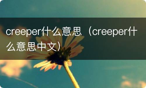 creeper什么意思（creeper什么意思中文）