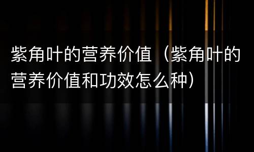 紫角叶的营养价值（紫角叶的营养价值和功效怎么种）