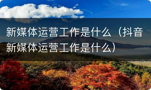 新媒体运营工作是什么（抖音新媒体运营工作是什么）