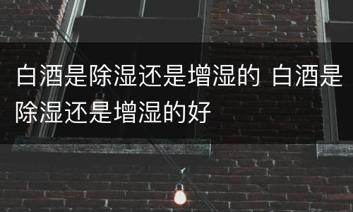 白酒是除湿还是增湿的 白酒是除湿还是增湿的好