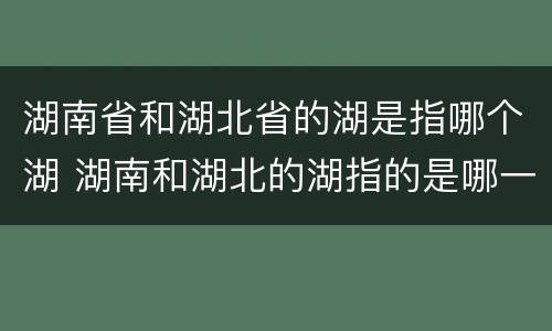湖南省和湖北省的湖是指哪个湖 湖南和湖北的湖指的是哪一个湖?